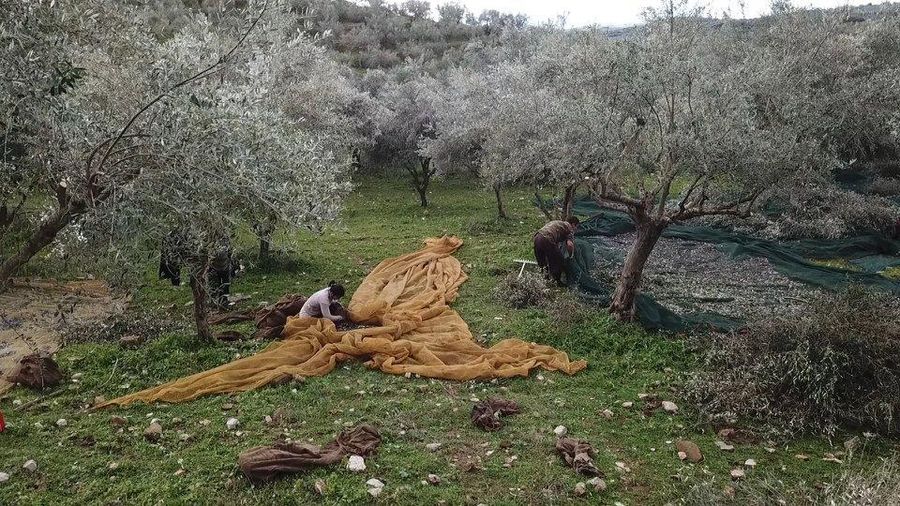 bJkO6sAP_31059646_1964581920282056_2028921030876256870_n (1).jpg